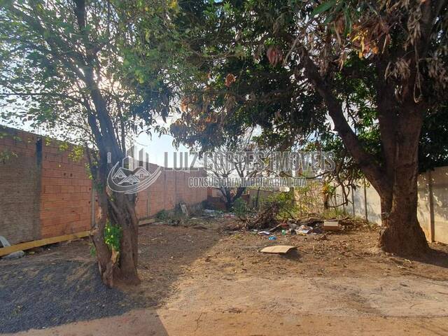 #715 - Lote para Venda em Uberlândia - MG - 3