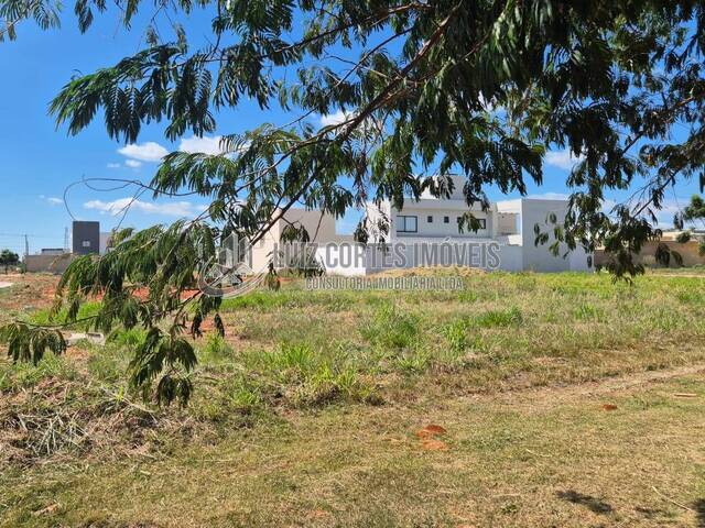 Lote para Venda em Uberlândia - 5